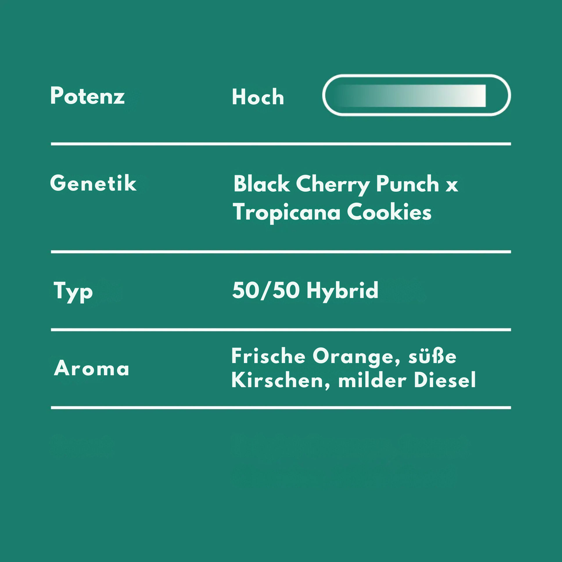 Super Goof – Bild 3