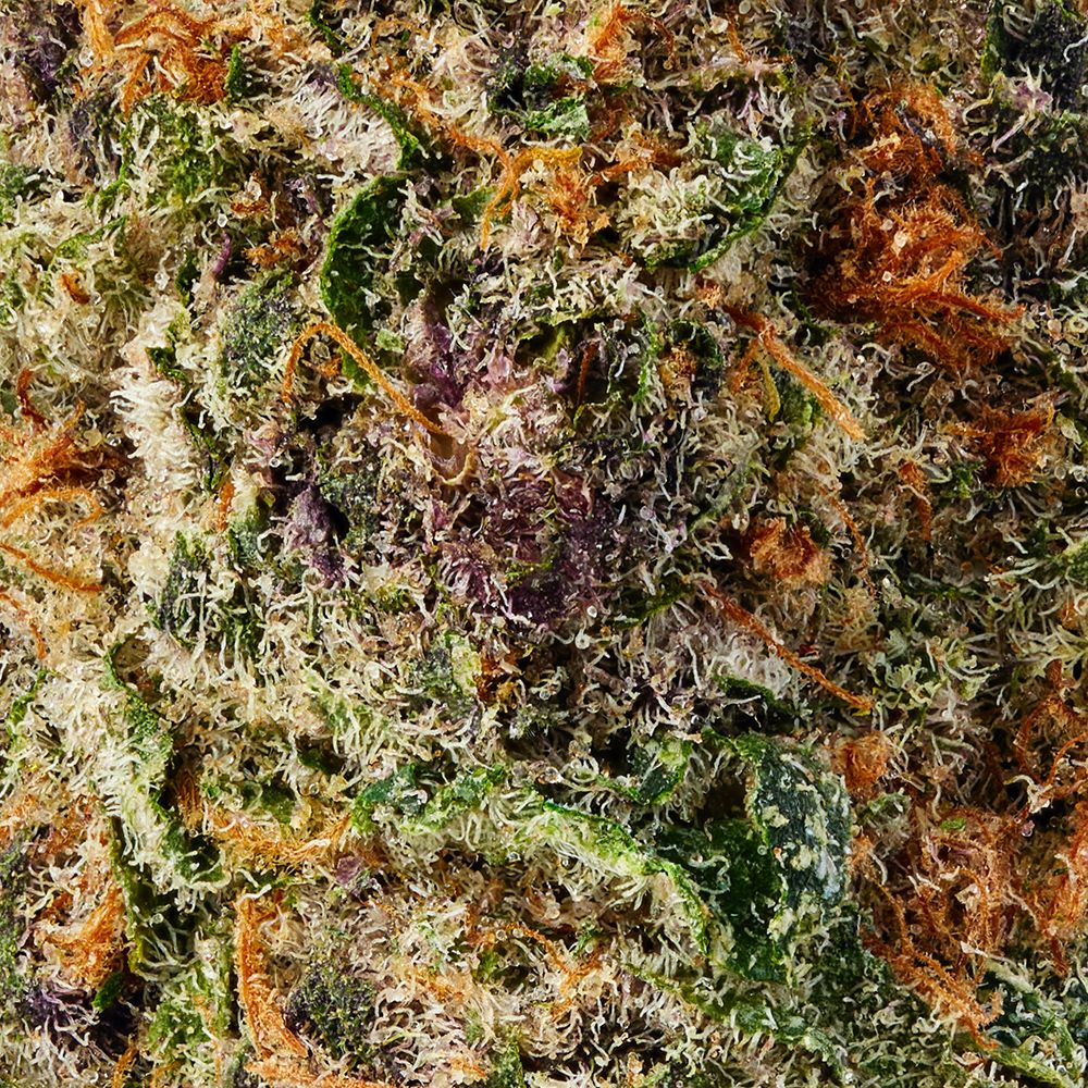 Super Goof – Bild 5