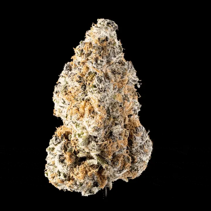 Super Goof – Bild 4